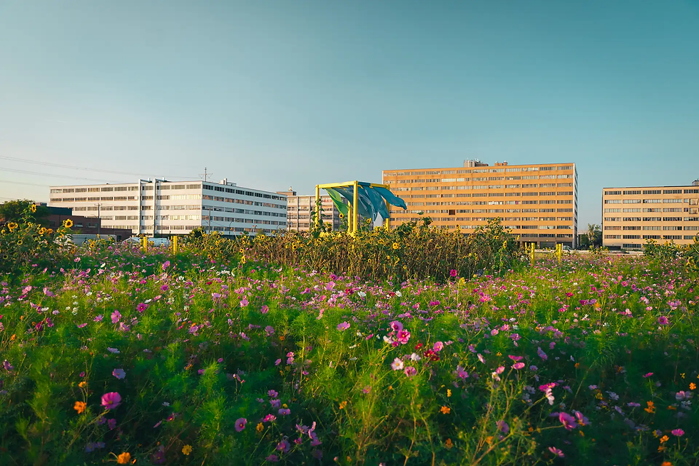 Photo by https://district-central.ca/en/