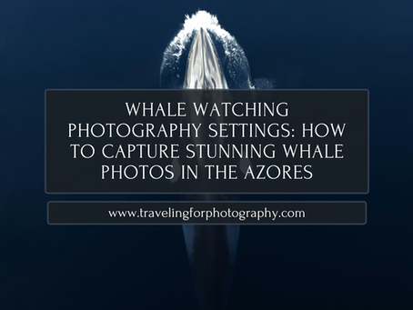 Whale Watching Photography Settings: How to Capture Stunning Whale Photos in the Azores