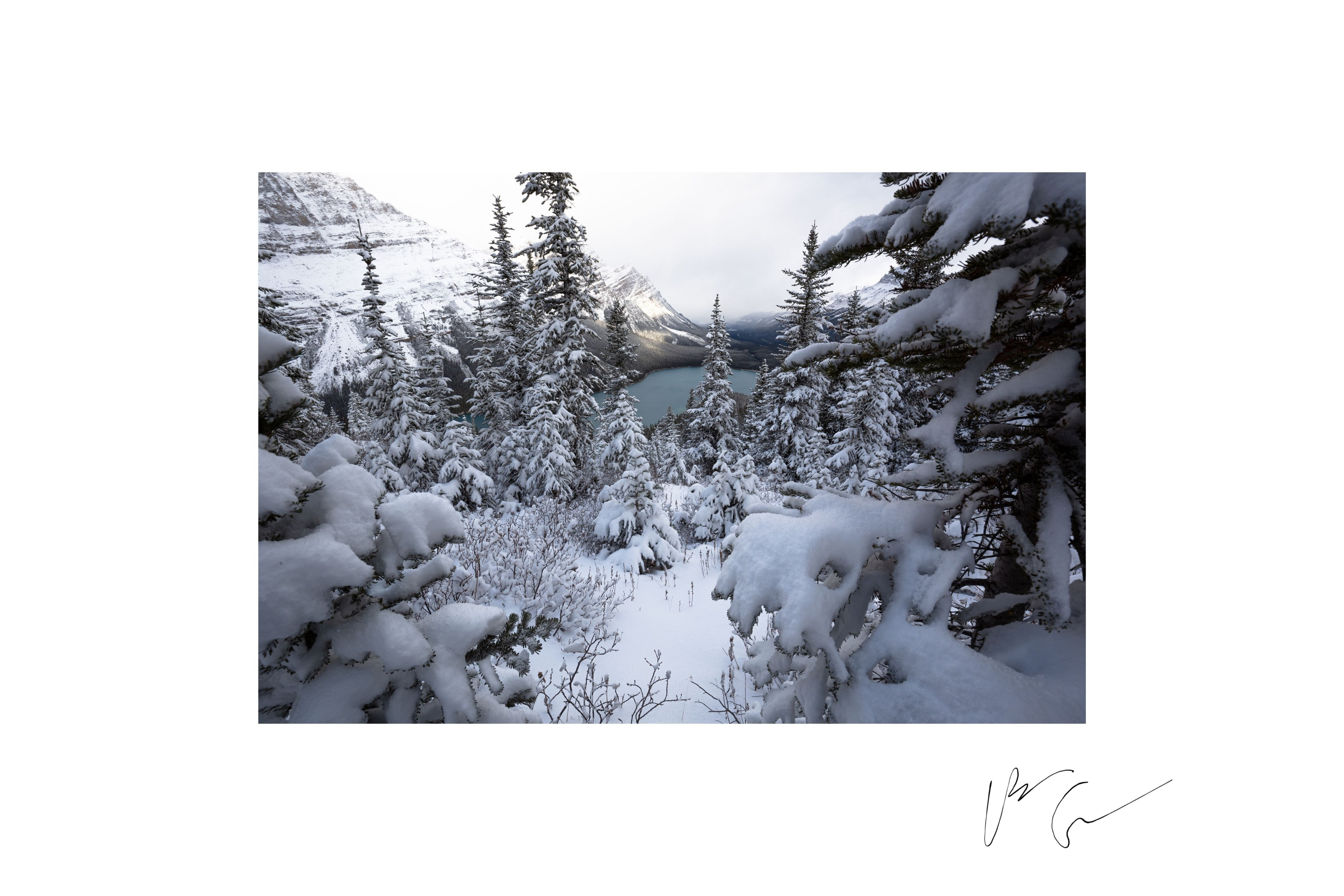 Peyto Lake | 27″ × 40″ 1/1 Signed Print by Patrice Gagnon