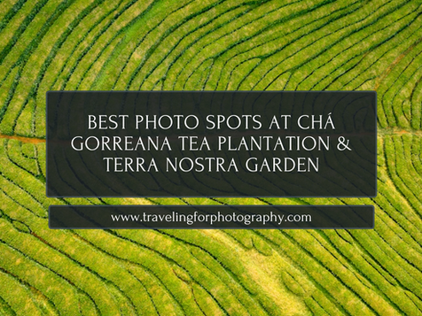 Best Photo Spots at Chá Gorreana Tea Plantation & Terra Nostra Garden (São Miguel, Azores)
