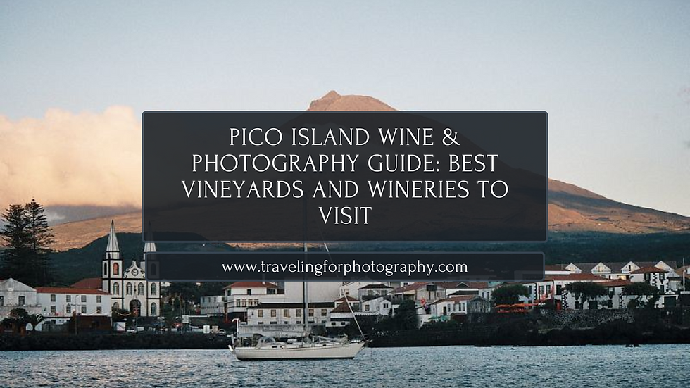 Pico Island Wine & Photography Guide: Best Vineyards and Wineries to Visit