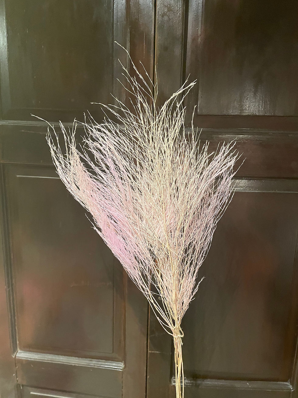 Thumbnail: Tiki Fern