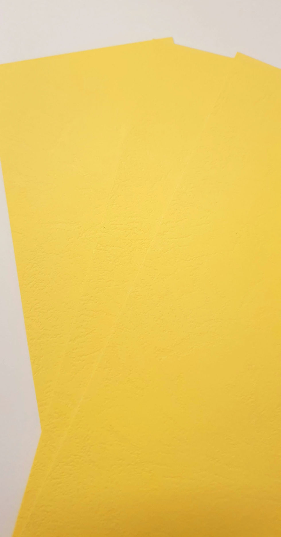 Miniatura: Cartulina Búfalo Binder