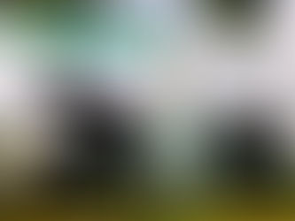 The Piano House : une construction inspirée de la musique