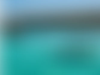 CÔTE DES ARCADINS:🌊