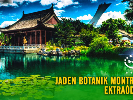 Jaden Botanik Montreal