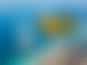 7 sekrè sou Burj Al Arab, sèl otel 7 etwal nan mond lan