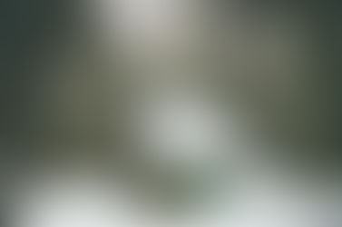 Franklin Falls Picnic