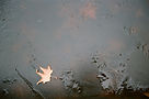 omid.photo.III.jpg