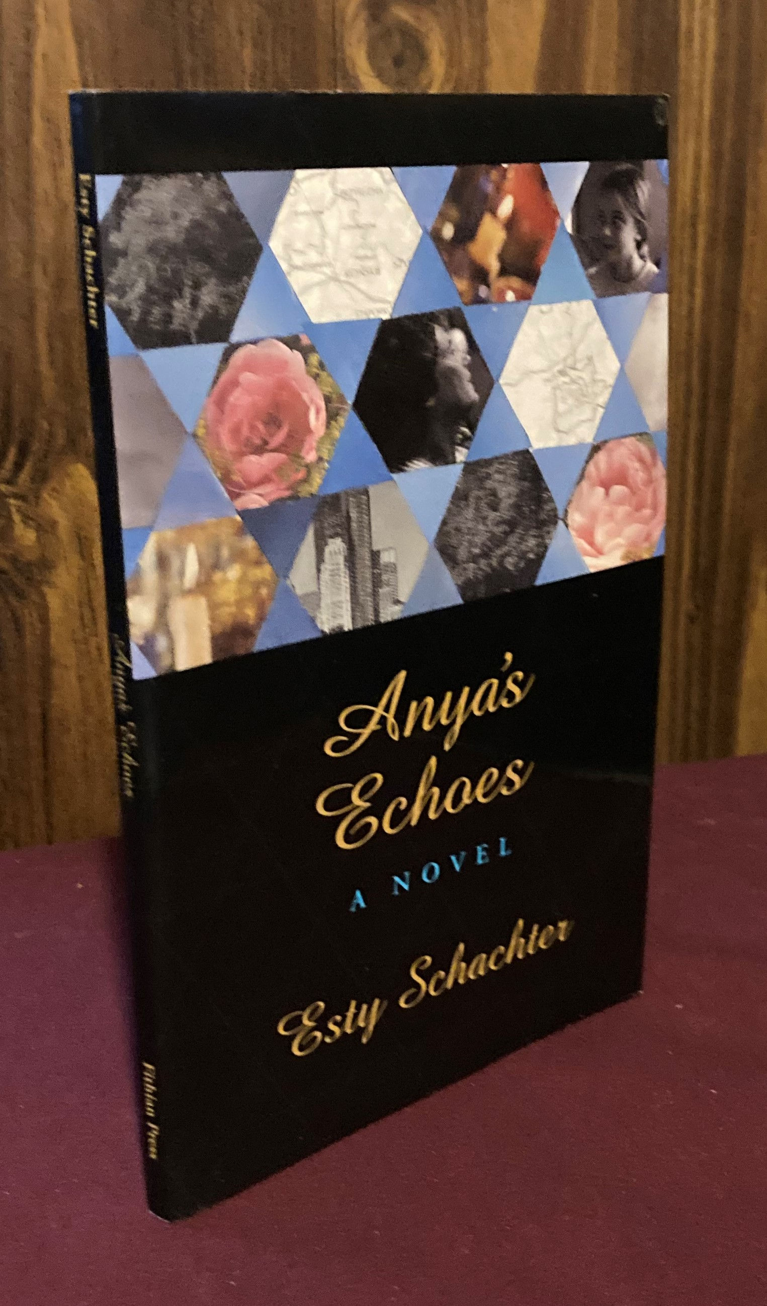 Anya's Echoes: A Novel