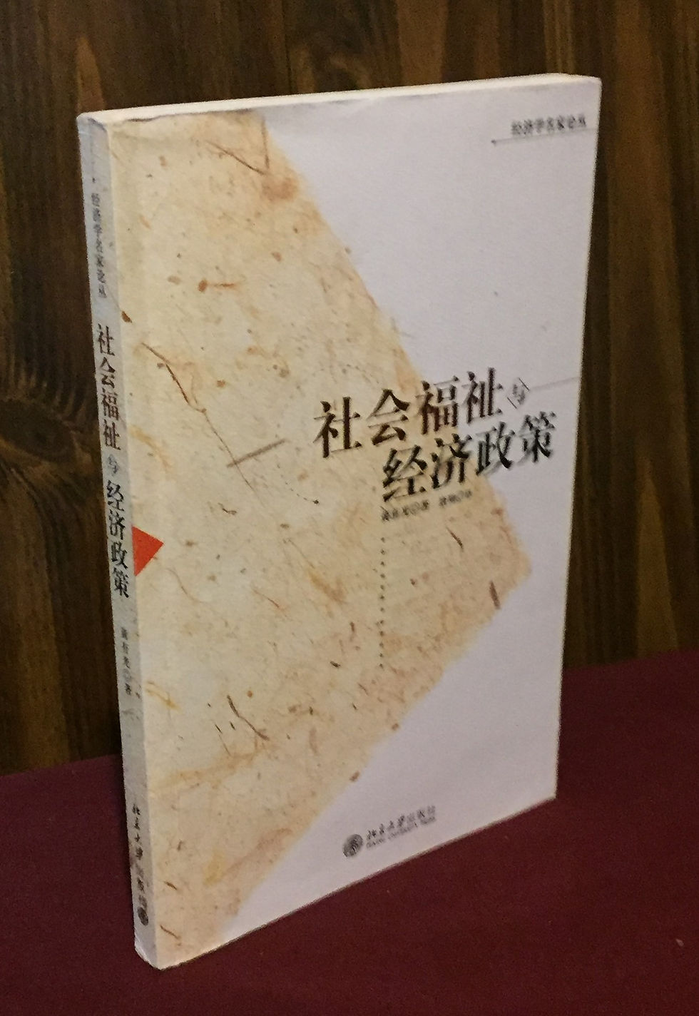 Social Well-Being and Economic Policy