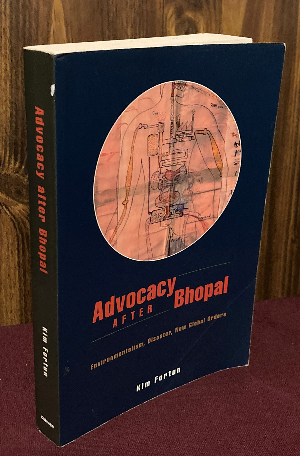 Advocacy after Bhopal: Environmentalism, Disaster, New Global Orders