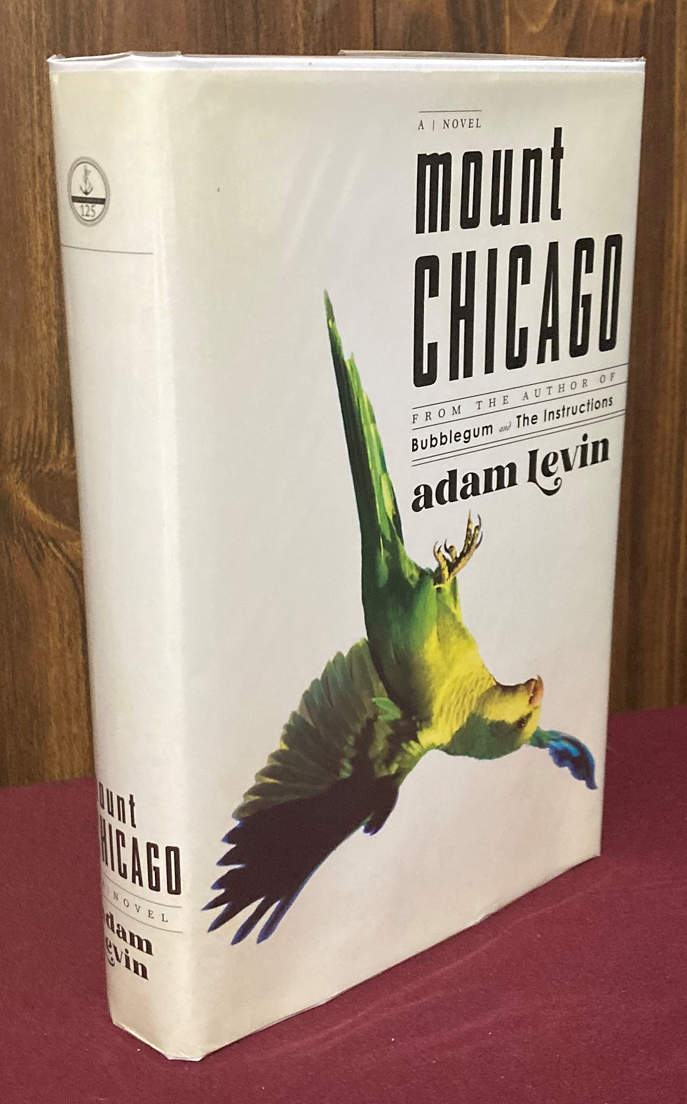 Mount Chicago: A Novel