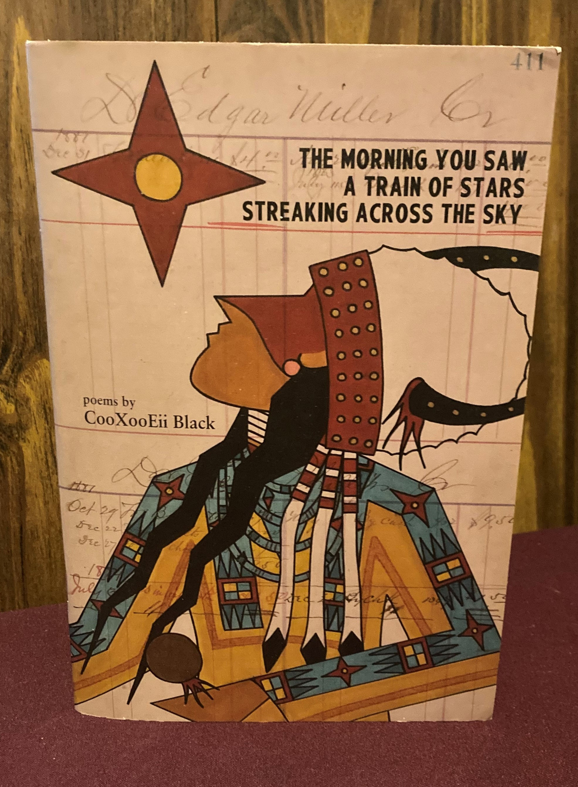 The Morning You Saw a Train of Stars Streaking across the Sky