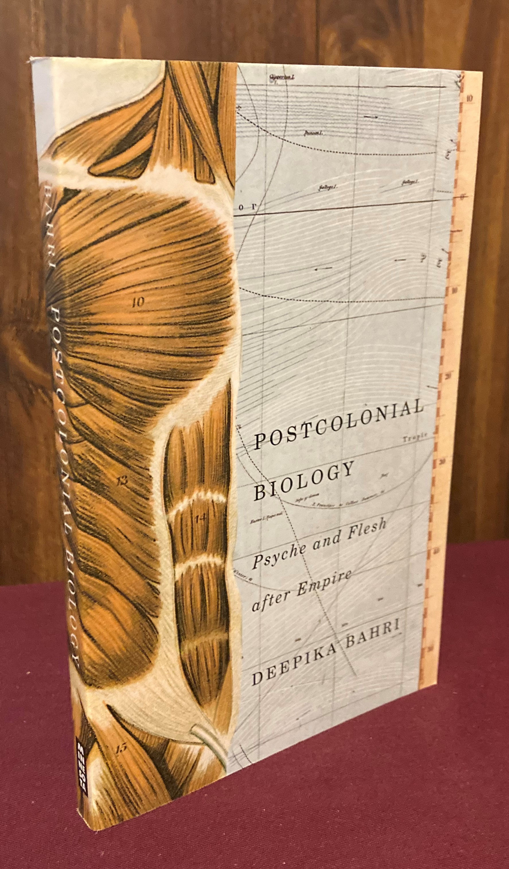 Postcolonial Biology: Psyche and Flesh after Empire