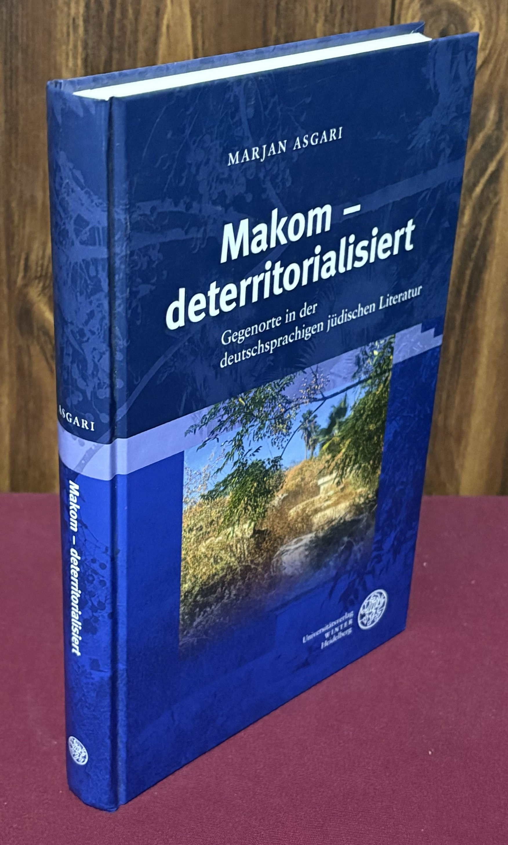 Makom deterritorialisiert: Gegenorte in der deutschsprachigen judischen Literatu