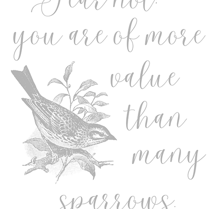 Sparrows.png