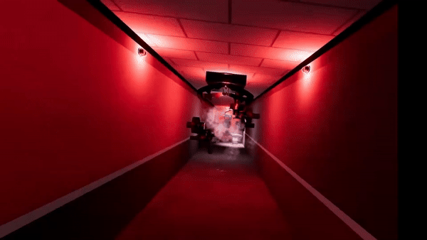 BrVRLevelRun.gif
