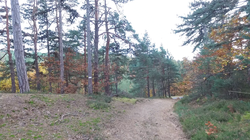 Sentier_01