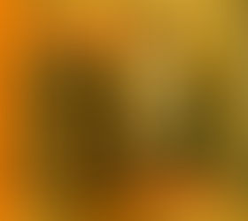 The Spy Who Wouldn’t Speak