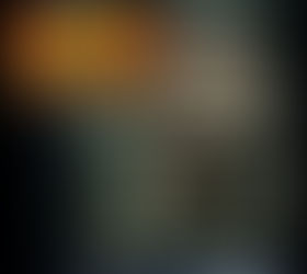 THE HELL-HOUND OF SOUTH FLORIDA