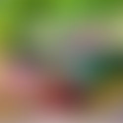 Witchcraft for Health and Wellbeing