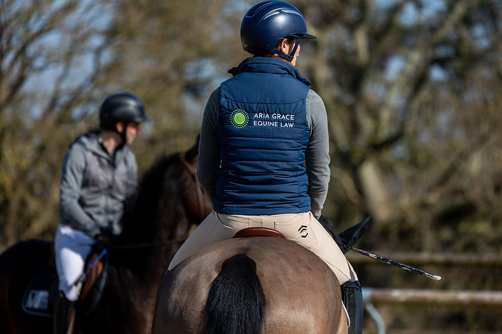 Can a WhatsApp message really sell a horse? Important lessons from a recently decided case