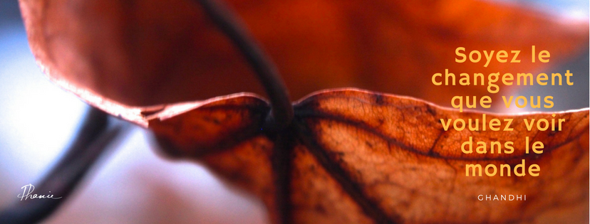 feuille d'automne et citation de Ghandi