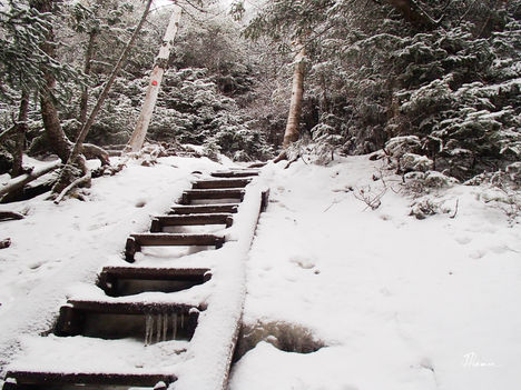 J'aime la neige!