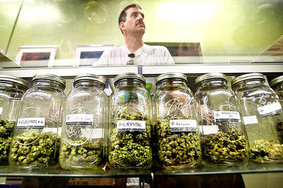Steps to Ensuring Effective Cannabis Growing and High Products In Return