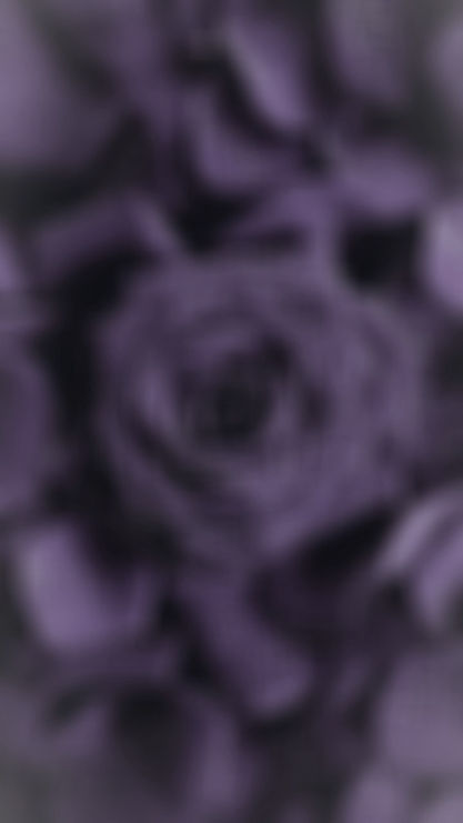 Rose website Background 1_edited_edited.jpg