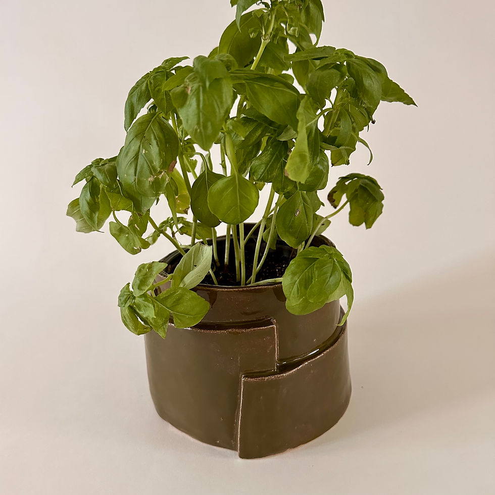Thumbnail: Workshop Maak je eigen Plantenpot