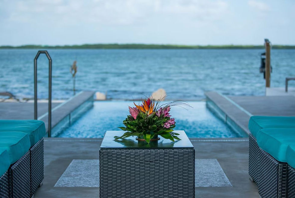 Playa de Sala Rooftop Pool.JPG