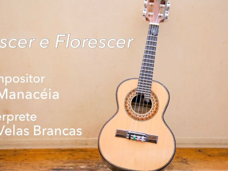 曲紹介 Nascer e Florescer