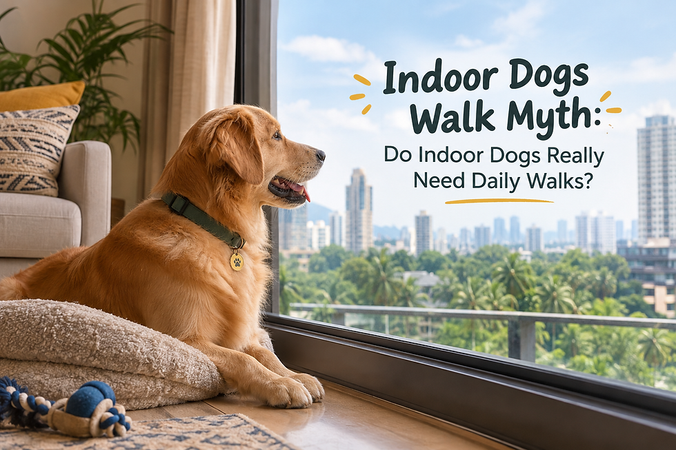 Golden retriever lounges by a window in a bright apartment, with city skyline and text: Indoor Dogs Walk Myth.