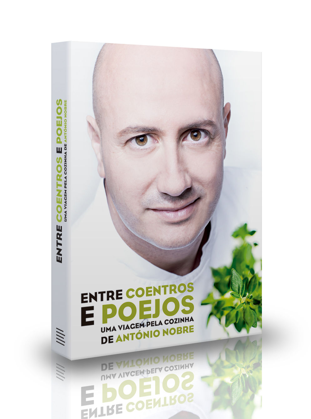 Livro "Entre Coentro e Poejos"