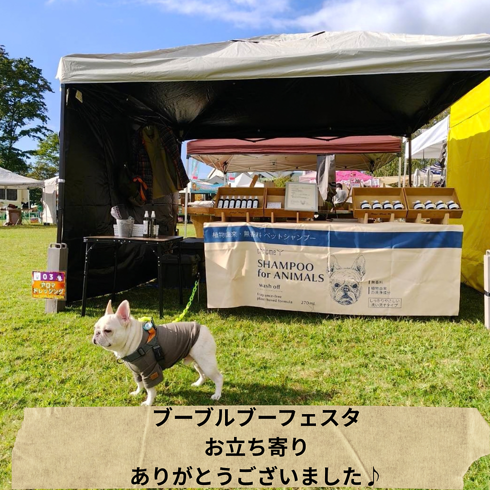 【御礼】BOO!! BULL BOO!! FASTAイベント出店