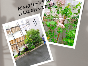 【AEAJグリーンテラスに行ってきたよ〜】