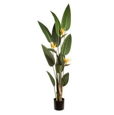 6' Tropical Bird of Paradise