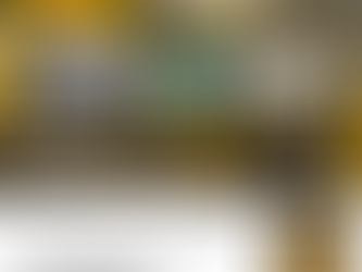 Exposição fotográfica virtual revela fases do Rio Urussanga