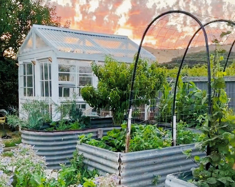 Greenhouse with lots of plantlife in the sunset
