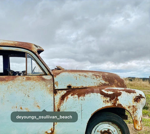 Rusty Holden car in a field with a dog in its window