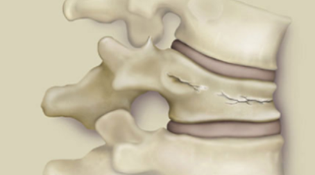 Courses organised by Orthopaedic Institute in Oswestry