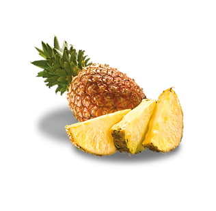 pi-a-395x546-okk.png