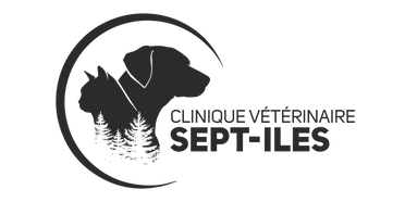 LOGO_2024_CVSI (SANSFOND).png