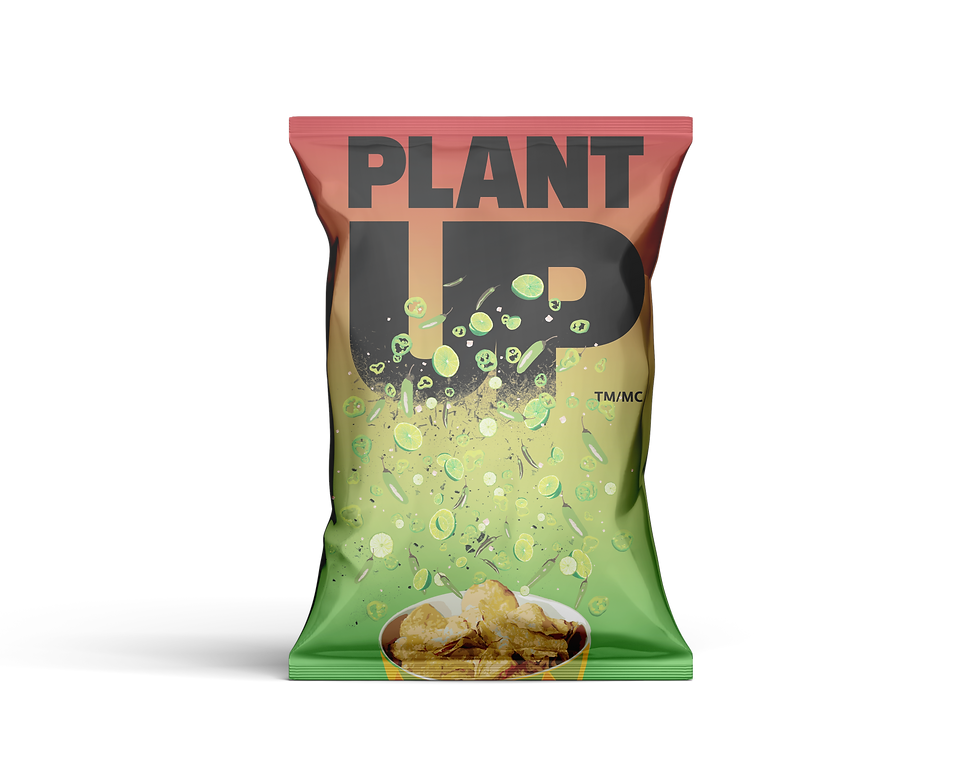 Chip Bag Mockup.png