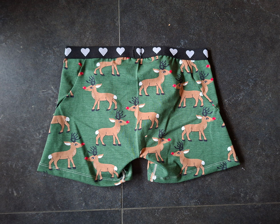 Miniature : Caleçon Rudolphe