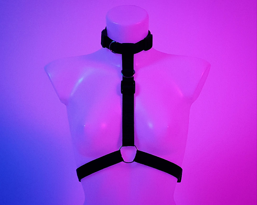 The All Black Collared Style Harness