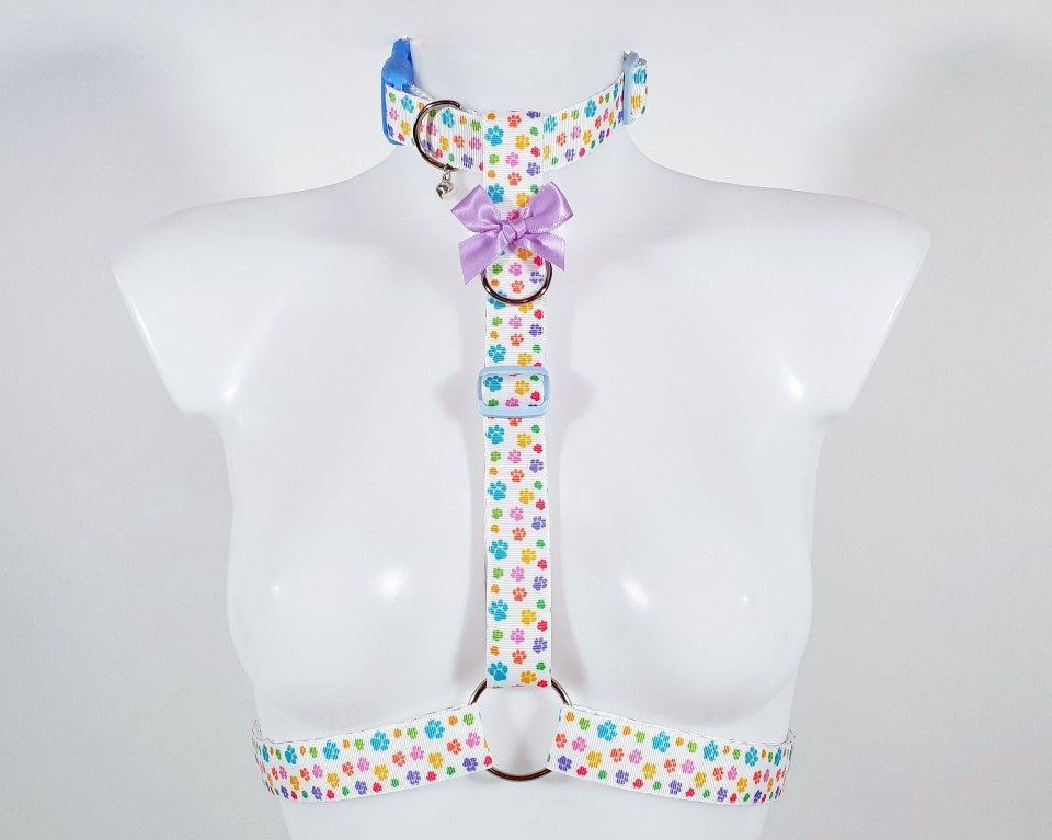 The Rainbow Pawprint Collared Style Harness