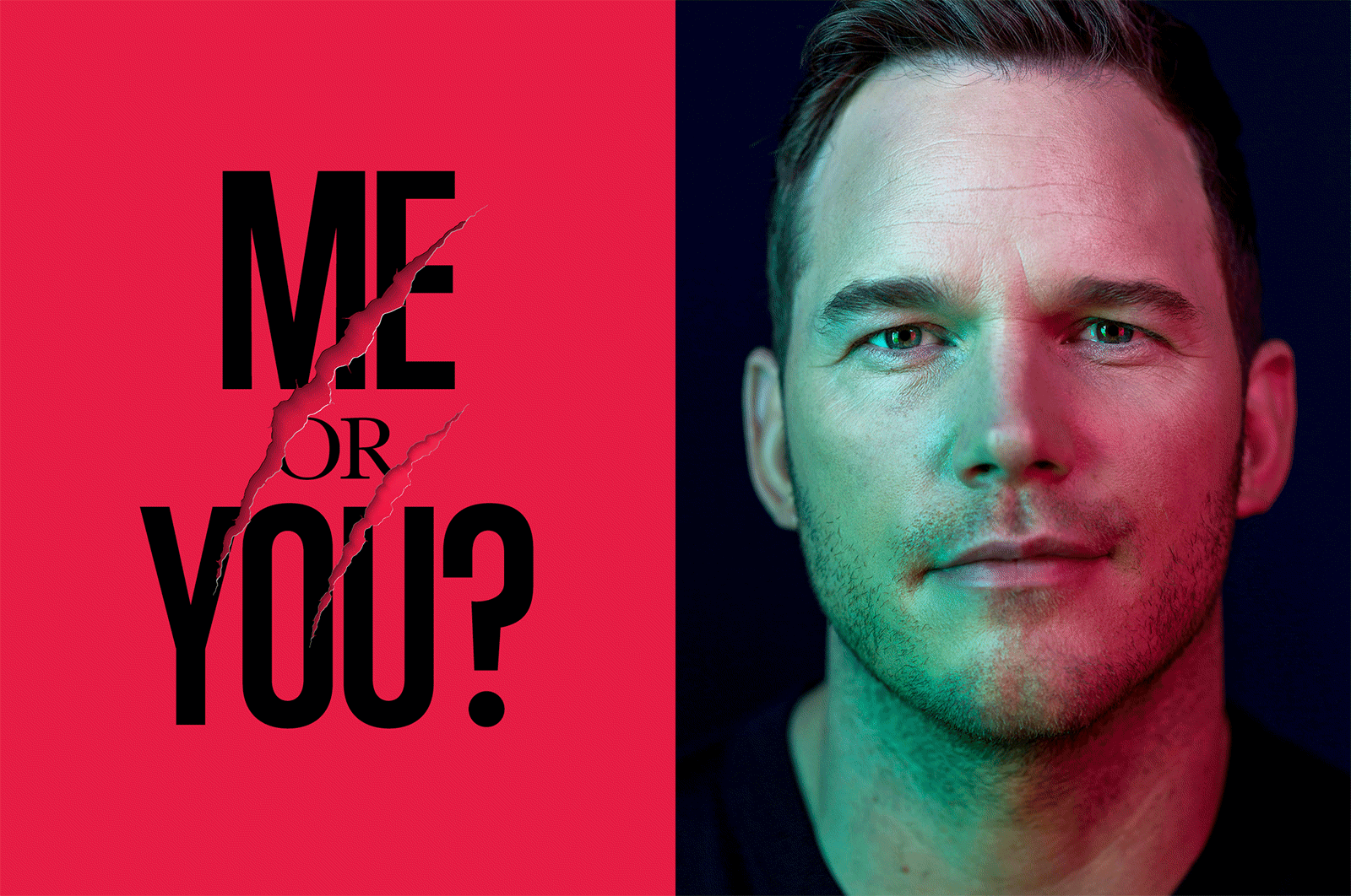 header2.gif